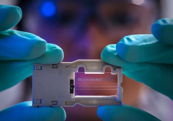 Les romans scientifiques qui deviennent des best-sellers