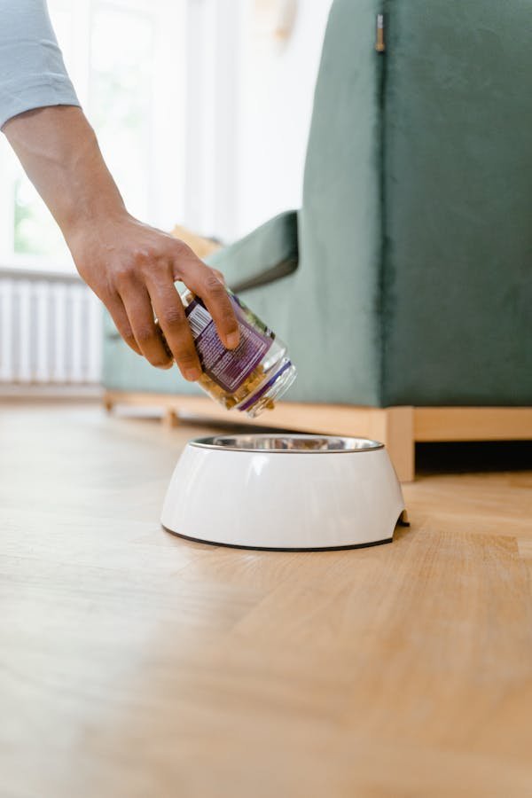 Weloca : le bien-être de vos animaux grâce à la nature